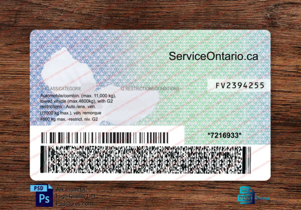 Ontario Driver License Template Psd Stores