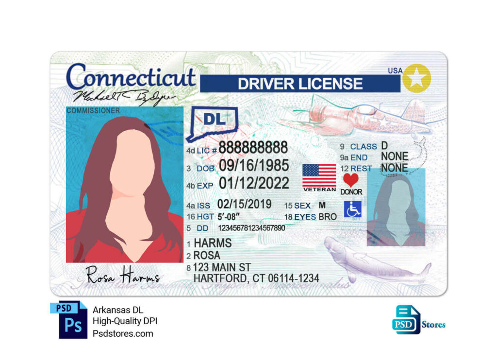 Connecticut Driver License Template - PSD Stores