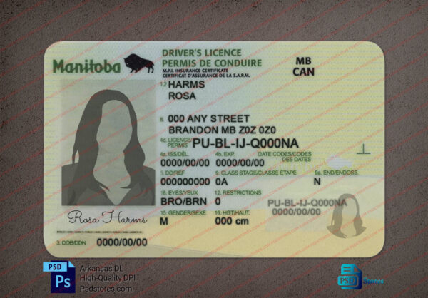 Manitoba Driver License Template - PSD Stores