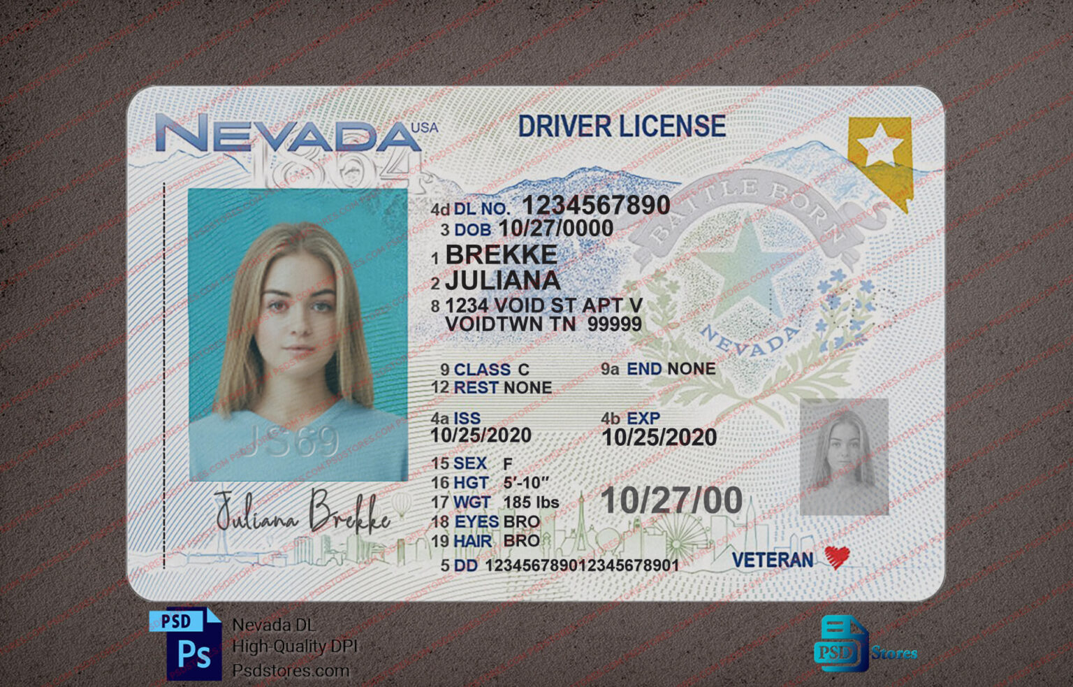 Nevada Driver License Template (V2) - PSD Stores